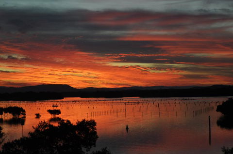 CHILL-OUT LAKESIDE @ FORSTER - Hobart Tourism 3