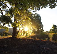 Clarendon Forest Retreat - Hobart Tourism