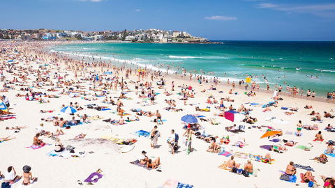 CLIFFSIDE: BONDI BEACH - Hobart Tourism 0