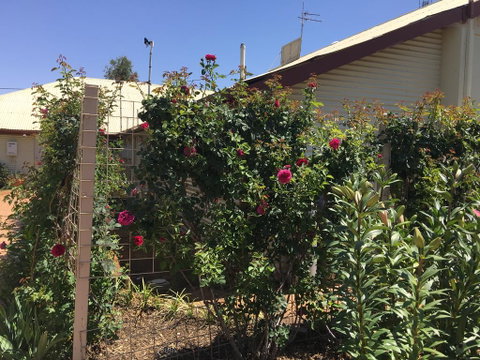 Club Boutique Hotel Cunnamulla - Tourism TAS 2
