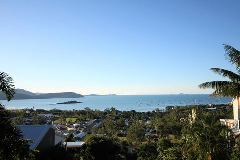Club Jewel - Hobart Tourism 0