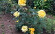 Coolajarra B&B - thumb 1