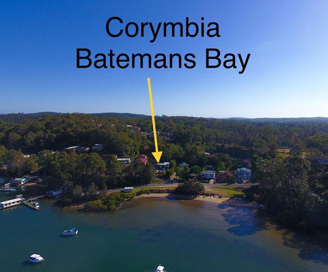 Corymbia Batemans Bay - Hobart Tourism 1