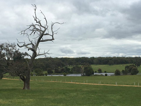 Country Farm House Close To Ballarat - Tourism TAS 1