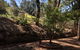 Country Lane Lysterfield - thumb 3