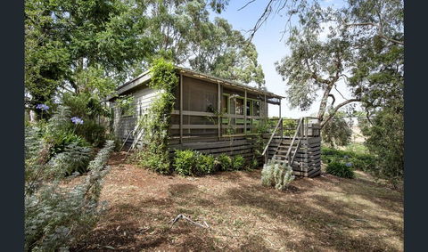 Cozy Stay Cottage - Hobart Tourism 0