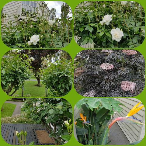 Creek Cottage Bed And Breakfast - Tourism TAS 3