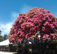 Crossways Country Inn - Tourism TAS