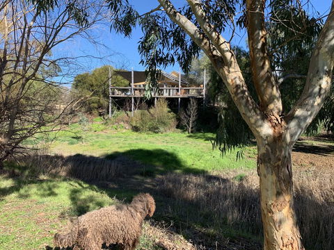 Cullen House - Tourism TAS 1