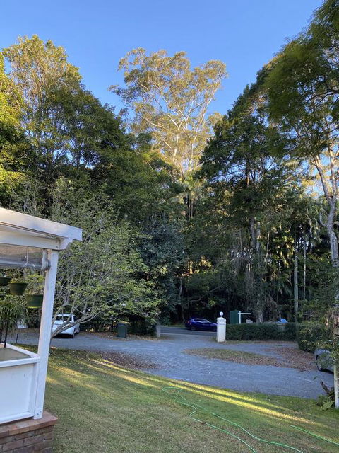 Curtis Falls Studio-Apartment - Hobart Tourism 3