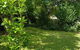 Cute Cottage On Byng - Walk To Town AND Pet Friendly - thumb 3