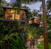 Daintree Ecolodge - Hobart Tourism