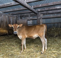 Dairyman's Cottage - Tourism TAS