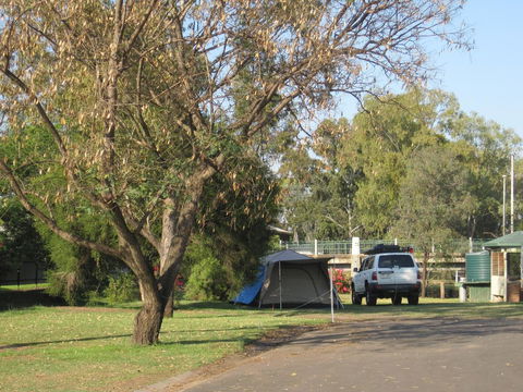 Dalby Tourist Park - Hobart Tourism 3
