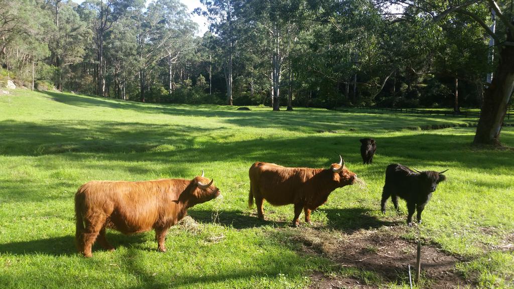 Annangrove NSW Tourism TAS