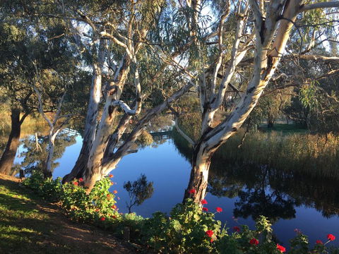 Donald Riverside Motel - Tourism TAS 0