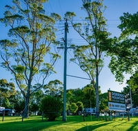 Dorrigo Mountain Holiday Park - Hobart Tourism