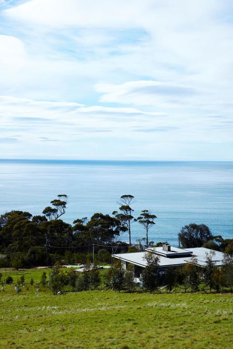 Dragonfly Lodge - Tourism TAS 3