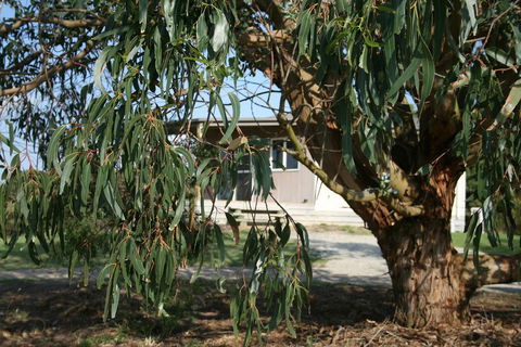 Driftwood Villas - Hobart Tourism 3