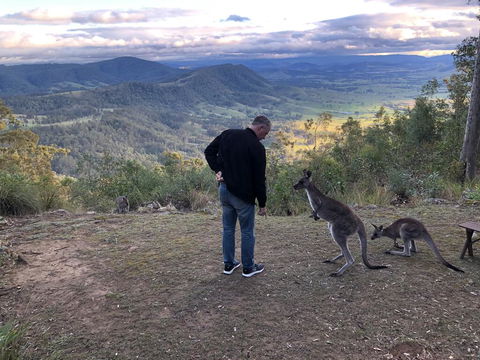 Eagleview Resort - Tourism TAS 2