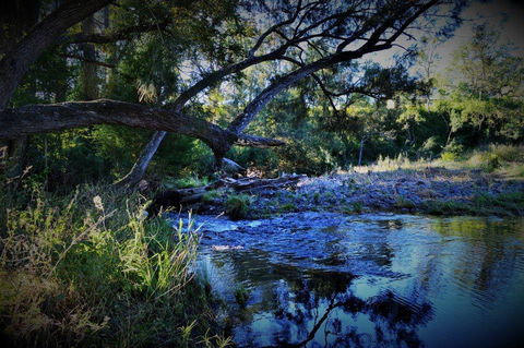 Eighteen Mile Cottage - Hobart Tourism 1
