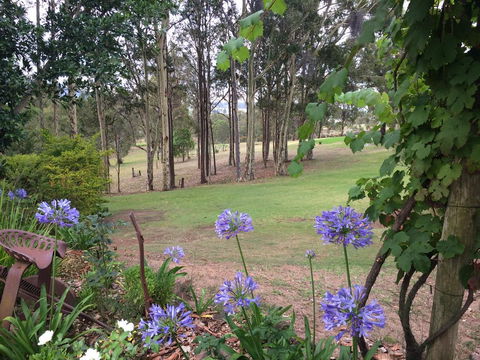 Elfin Hill Vineyard Accommodation - Hobart Tourism 2