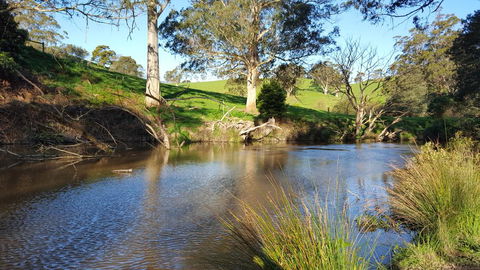 Emerald Hills Cottage - Hobart Tourism 1