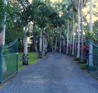 Emerald Tropical Palms B  B