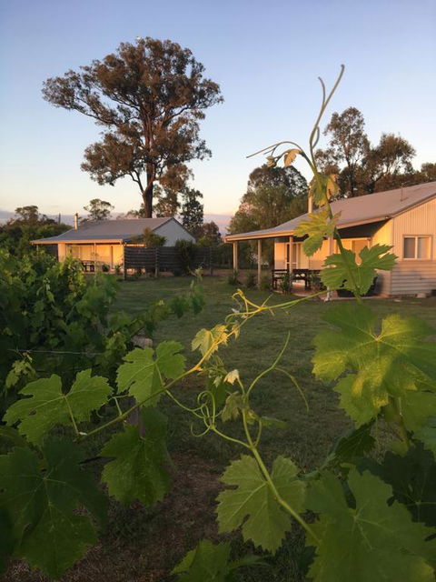 Emma's Cottage Vineyard - Tourism TAS 3