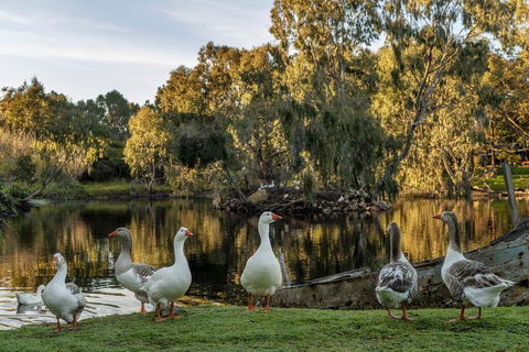 Empire Spa Retreat - Hobart Tourism 2