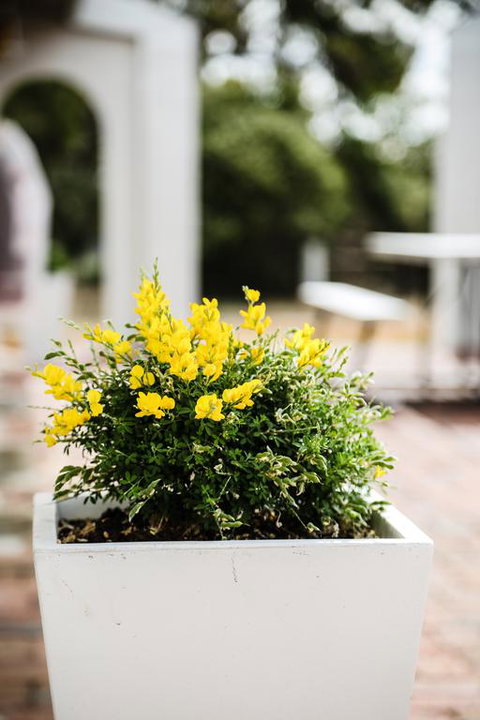 Esperance Coastal Retreat - Tourism TAS 3