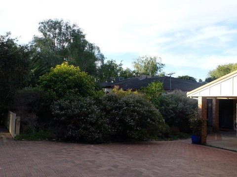 Esperance Seafront Holiday Units - Tourism TAS 3