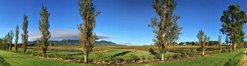 Estate Tuscany - Hobart Tourism 1