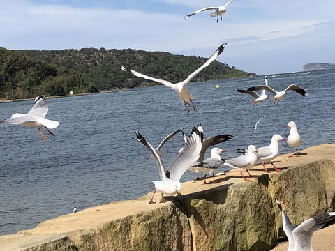 Ettalong Beach Motel - Tourism TAS 1