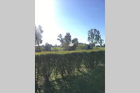 Book Benalla Accommodation Vacations Tourism TAS Tourism TAS