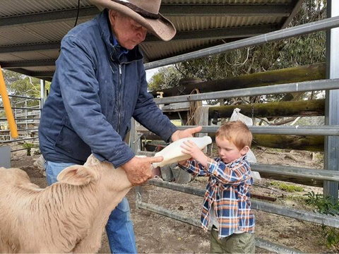 Fay's Cottage - Tourism TAS 1