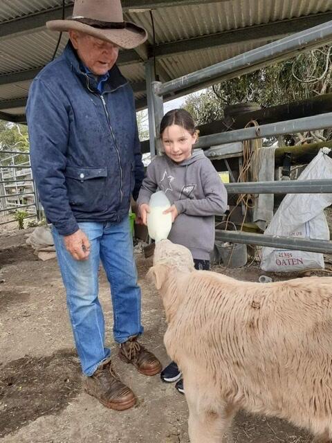 Fay's Cottage - Tourism TAS 3