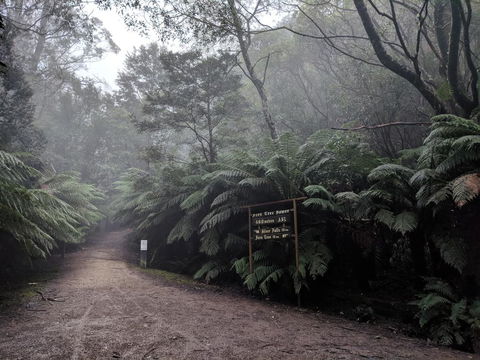 Fern Tree Tavern - Hobart Tourism 2
