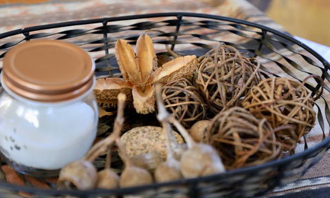 Fig Tree Cabin - Tourism TAS 1