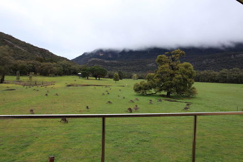 Five Clematis Views - Tourism TAS 1