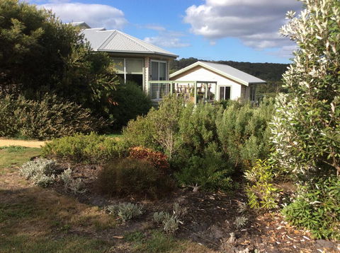 Forrest Willy Wagtail Studio - Tourism TAS 0