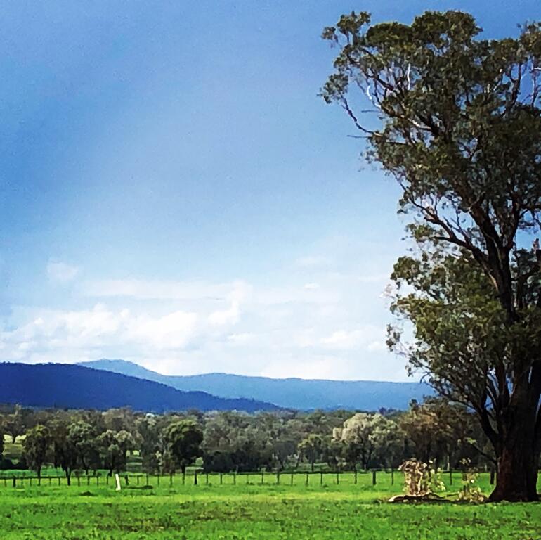Timbumburi NSW Tourism TAS
