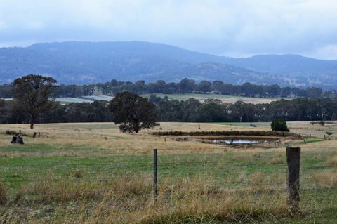 Friends In Harcourt North - Tourism TAS 2