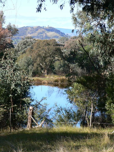 Gaddleen Grove Cottages - Tourism TAS 3