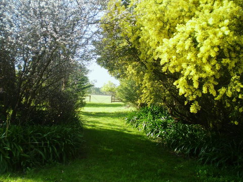 Galwiji Homestead - Hobart Tourism 3