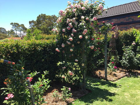 Garden Apartment - Hobart Tourism 3