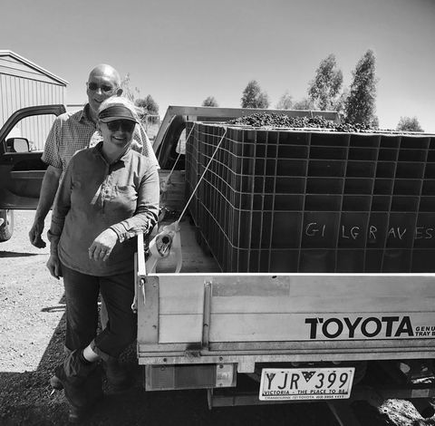 Gilgraves Vineyard Farmstay - Tourism TAS 2