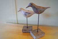 Gisborne Peak Winery Cottages