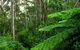 Glenaire Cottages - thumb 1