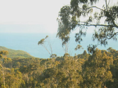Glenaire Cottages - Hobart Tourism 2